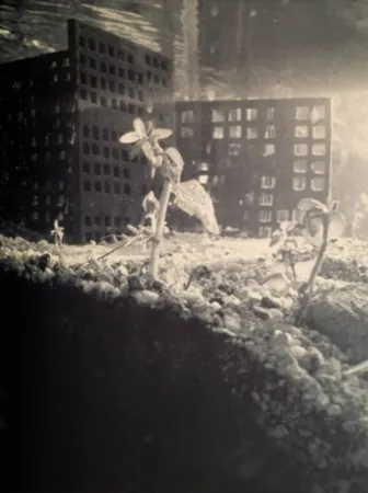 Photography Iglesias - Aquarium II, 1