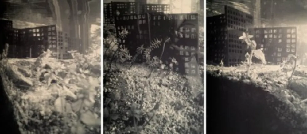 Photography Iglesias - Aquarium II