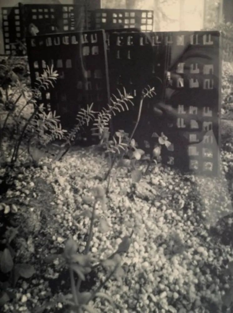 Photography Iglesias - Aquarium II, 2