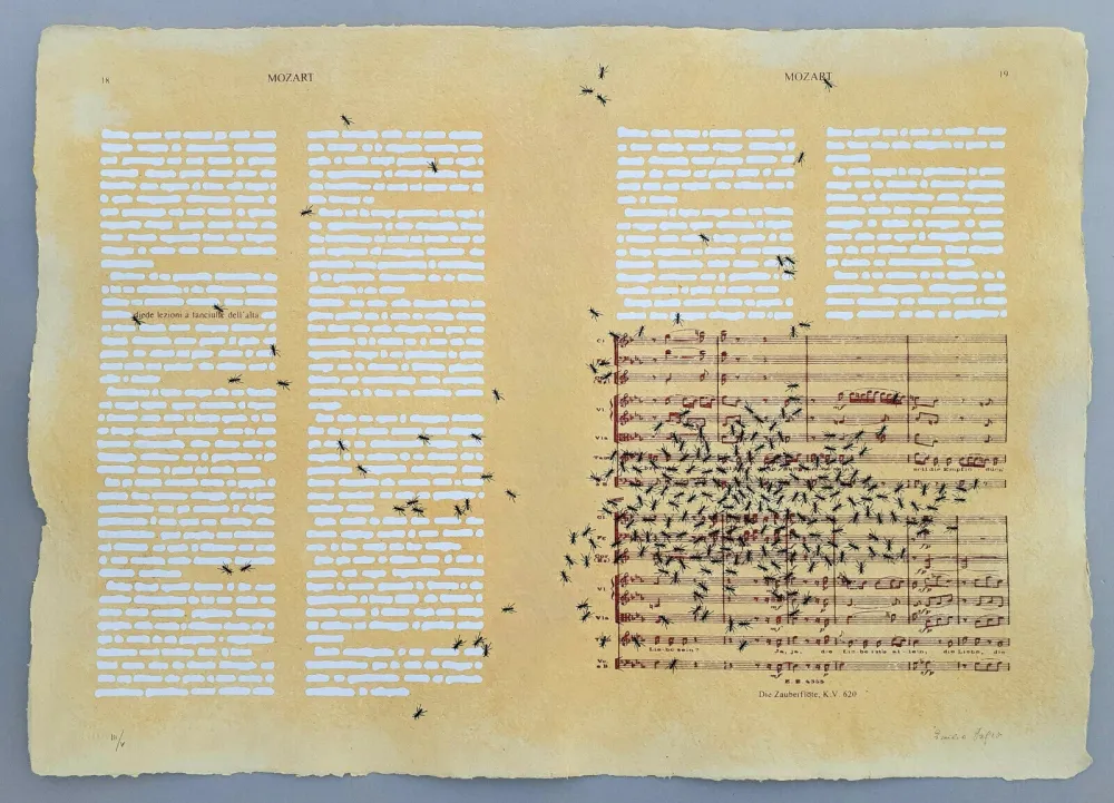 Screenprint Isgro - Mozart