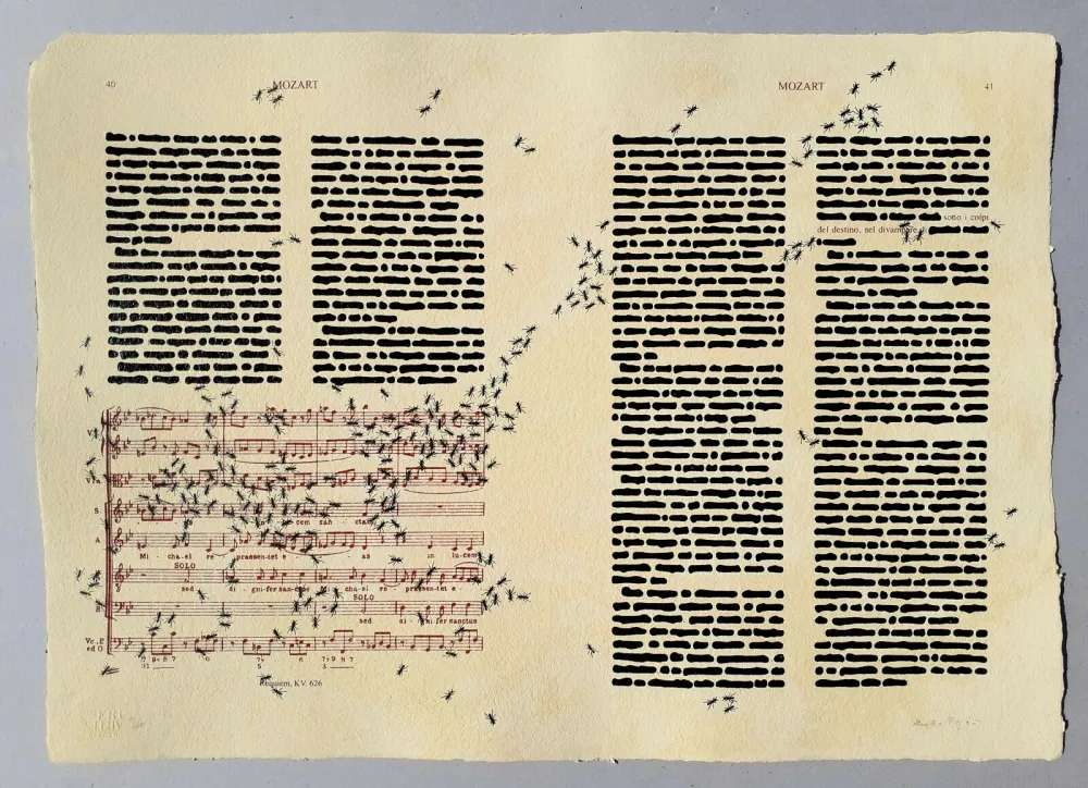 Screenprint Isgro - Mozart