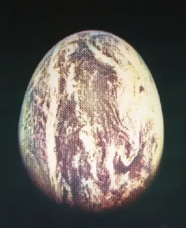 Etching And Aquatint Jacquet - L'oeuf