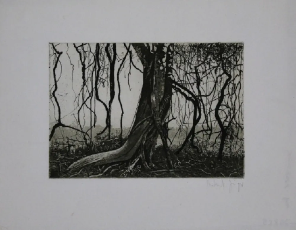 Etching And Aquatint Jäger - Knorriger Baum / Gnarled Tree