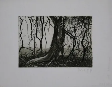 Etching And Aquatint Jäger - Knorriger Baum / Gnarled Tree
