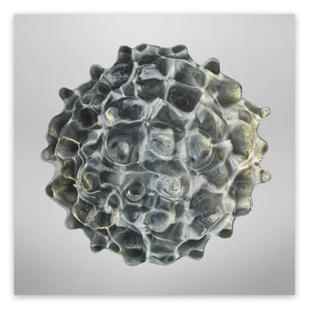 Photography Janiak - Résonance - water drop 84 (Large)