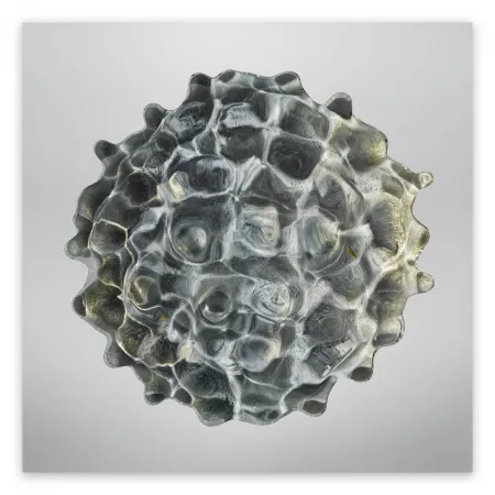 Photography Janiak - Résonance - water drop 84 (Large)