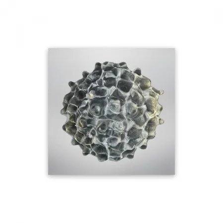 Photography Janiak - Résonance - water drop 84 (Medium)