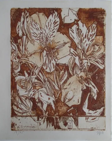 Etching Janssen - Nigromontanus