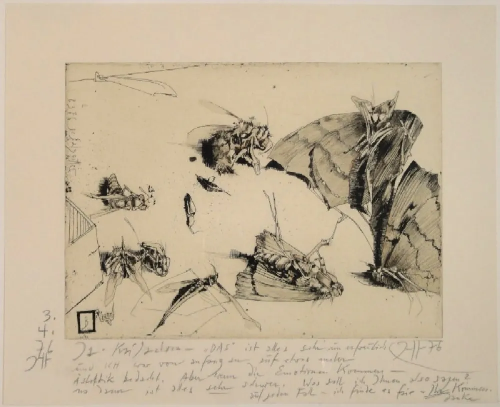 Etching Janssen - (Tote Nachtfalter und Insekten)