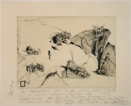 Etching Janssen - (Tote Nachtfalter und Insekten)