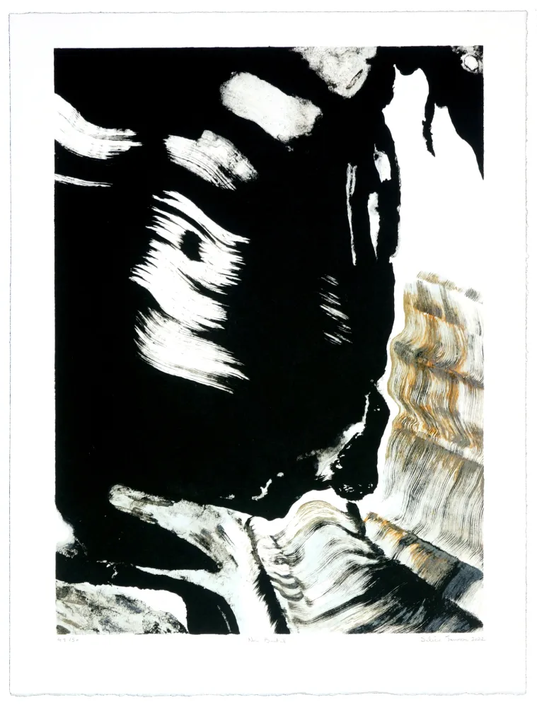 Lithograph Jarrosson - Noir Brutal