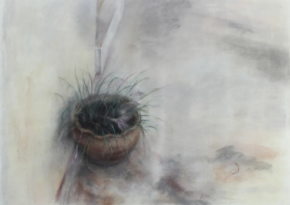 No Technical Jaume - On the Patio