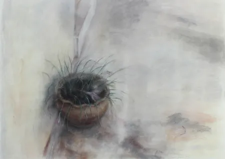 No Technical Jaume - On the Patio