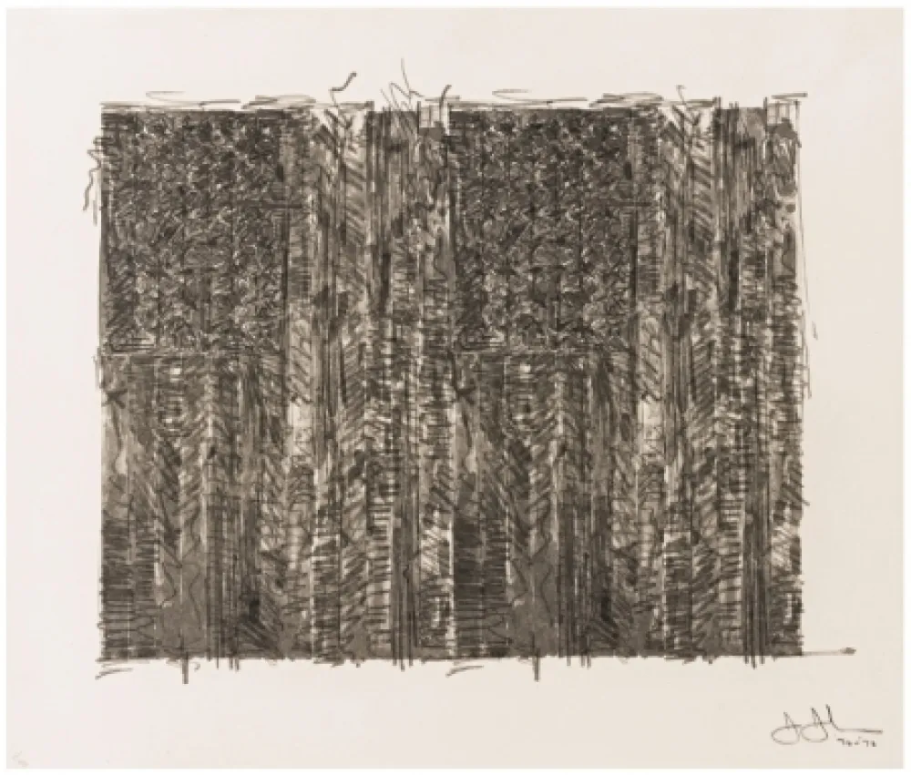 Screenprint Johns - Two Flags