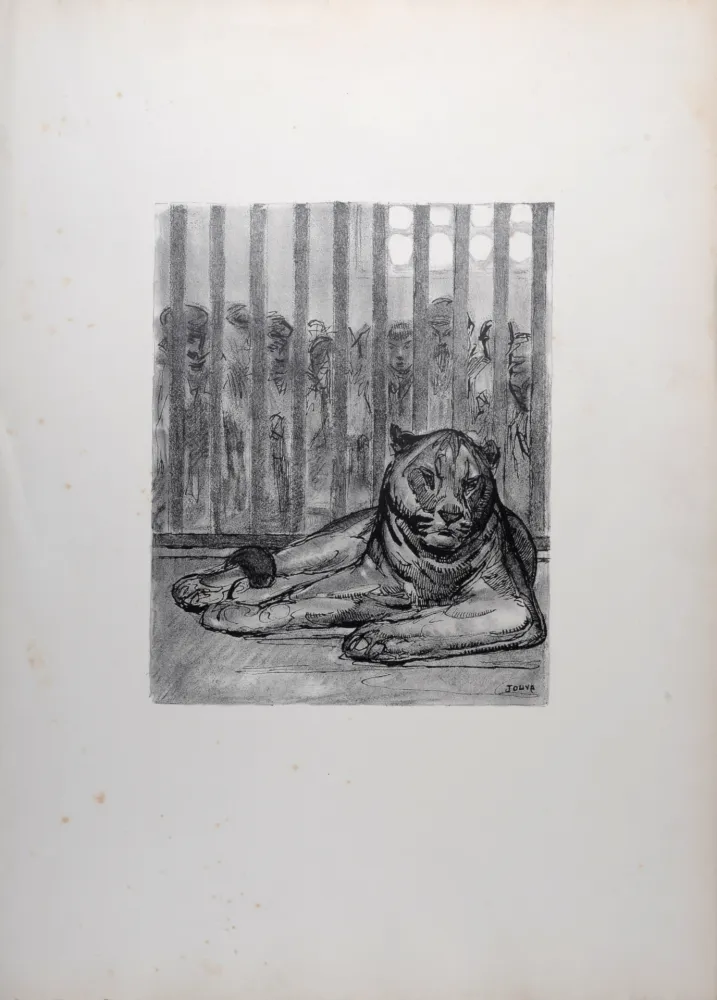 Lithograph Jouve - La Lionne