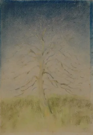 No Technical Junghanns - (Kahler Baum)