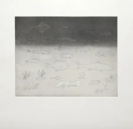 Etching Kaga - At the bottom of the sea