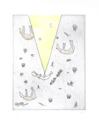 Etching Kaga - Usacchi 4