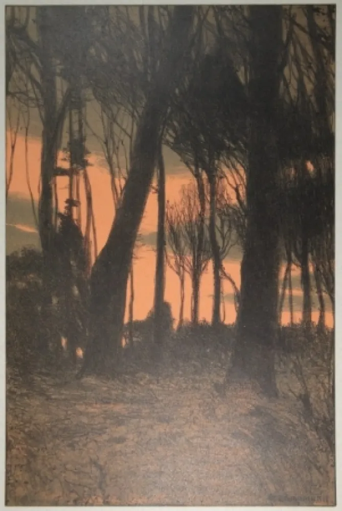 Lithograph Kampmann - Abendröthe (Bäume im Abendrot)