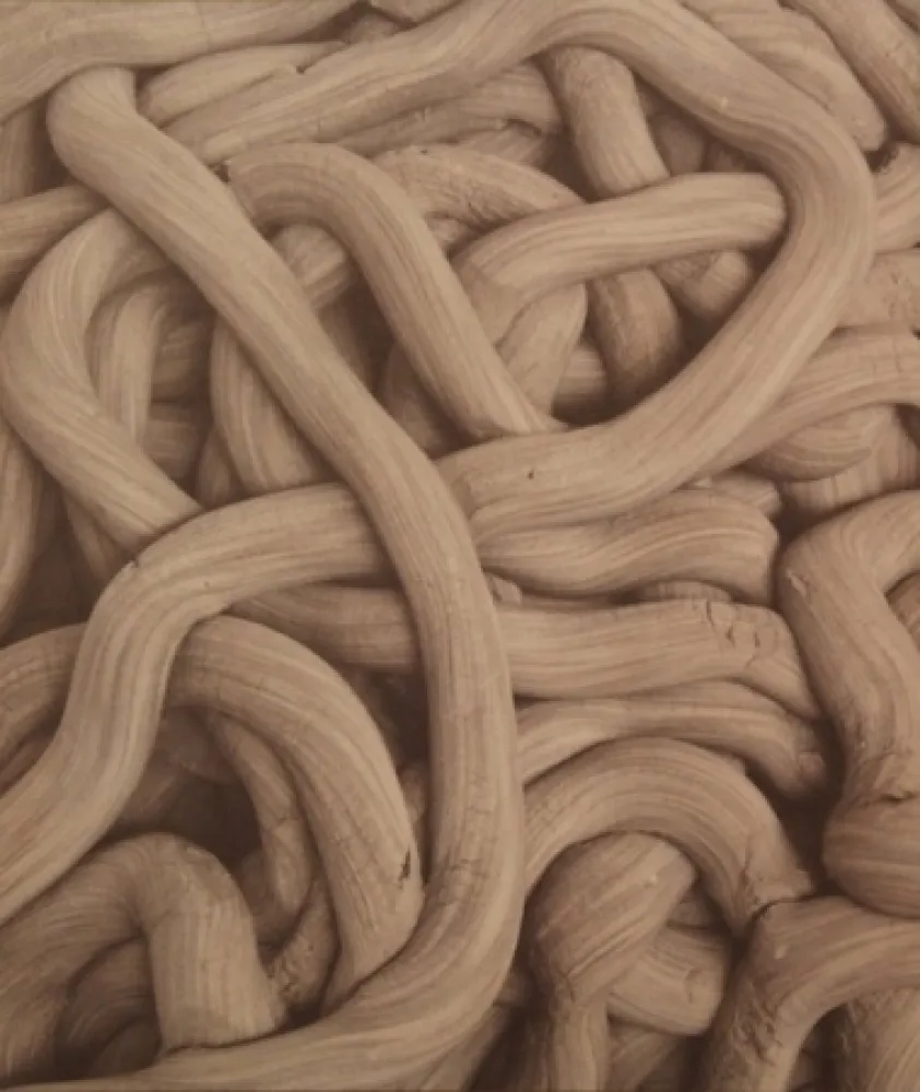 Lithograph Kapoor - A Detail of Greyman Cries, Shaman Dies, Billowing Smoke, Beauty Evoked, 2008-2009 