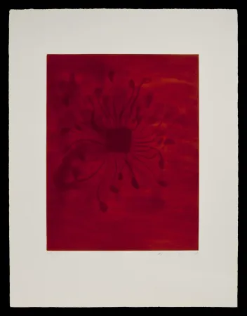 Aquatint Kapoor - S/T