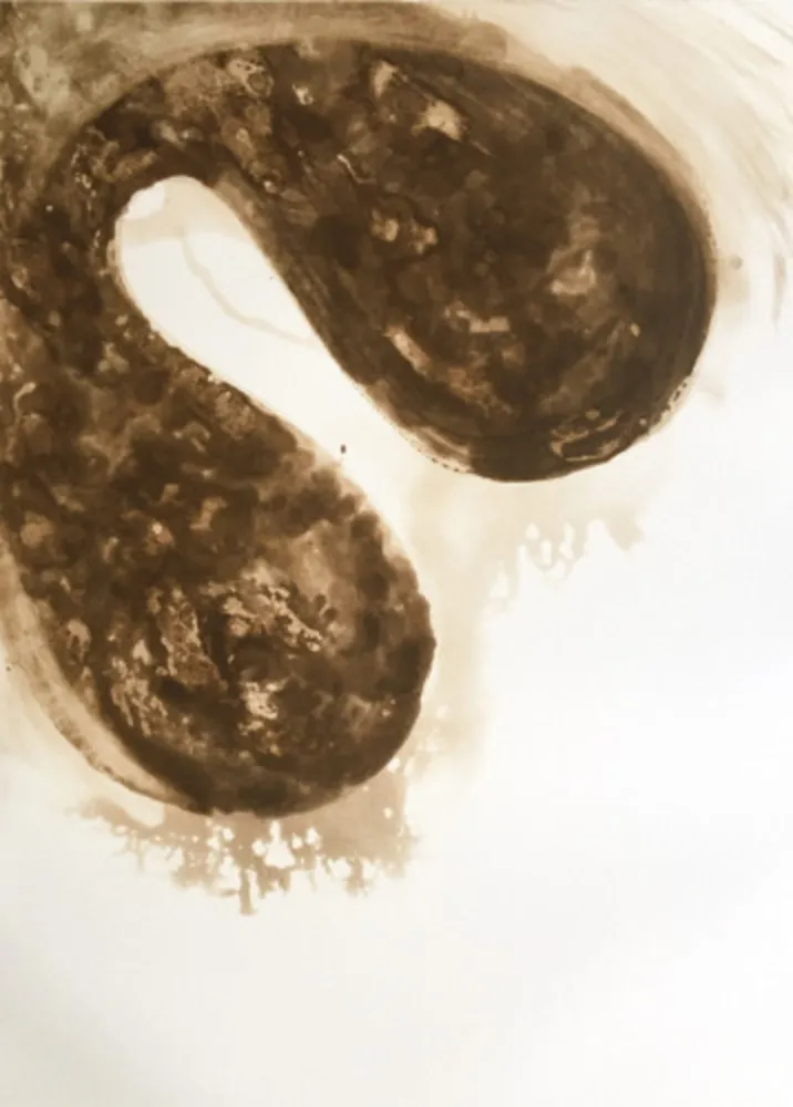 Aquatint Kapoor - Untitled (12)