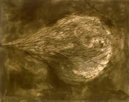 Aquatint Kapoor - Untitled (III)