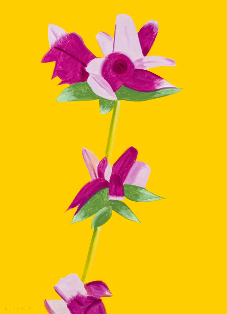 No Technical Katz - Azaleas on Yellow from The Flowers Portfolio