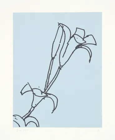 Etching Katz - 