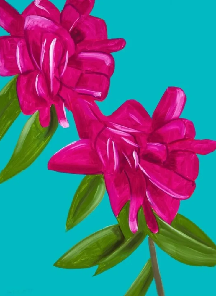 No Technical Katz - Peonies