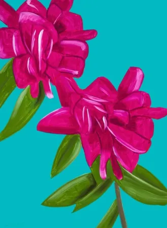 No Technical Katz - Peonies