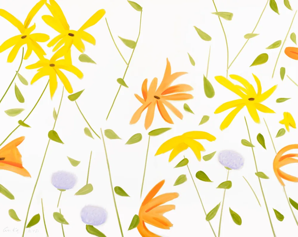 No Technical Katz - Summer Flowers 2