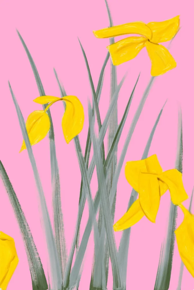 No Technical Katz - Yellow Flags 3