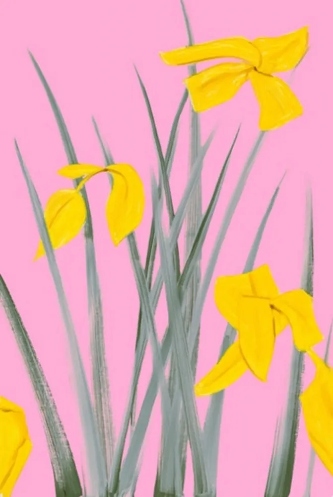 No Technical Katz - Yellow Flags 3