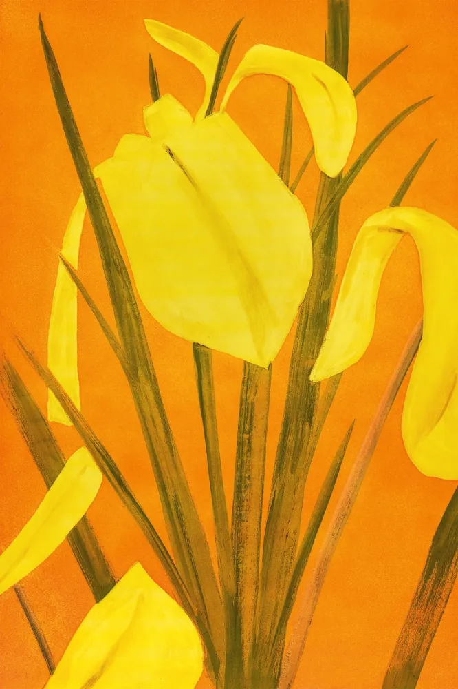 Etching And Aquatint Katz - 