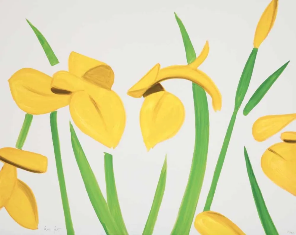 No Technical Katz - Yellow Flags on White