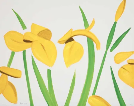 No Technical Katz - Yellow Flags on White