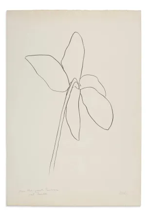 Lithograph Kelly - Cyclamen IV, 1964-1965