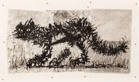 Aquatint Kentridge - Scribble Cat