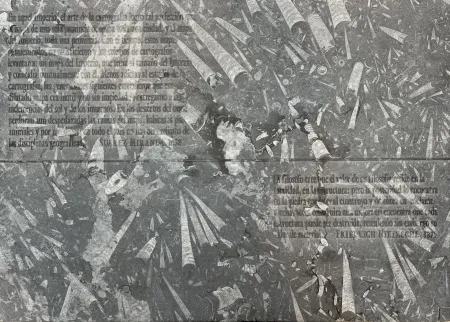 Engraving Kosuth - El mapa de Miranda y la disciplina de Nietzsche