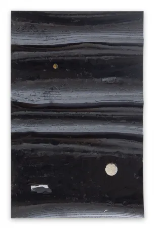 No Technical Kroner - Black River 26