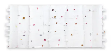 No Technical Kroner - Cut 39