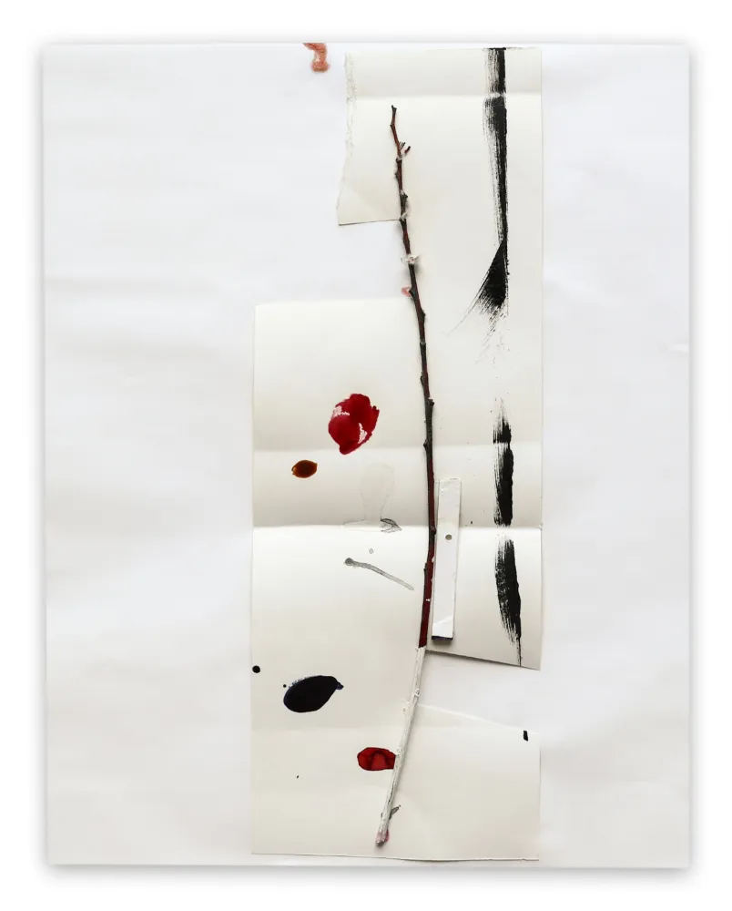 No Technical Kroner - K2003