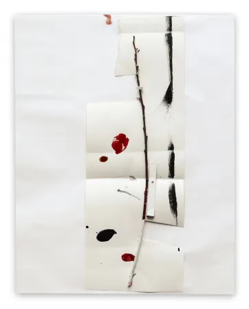 No Technical Kroner - K2003