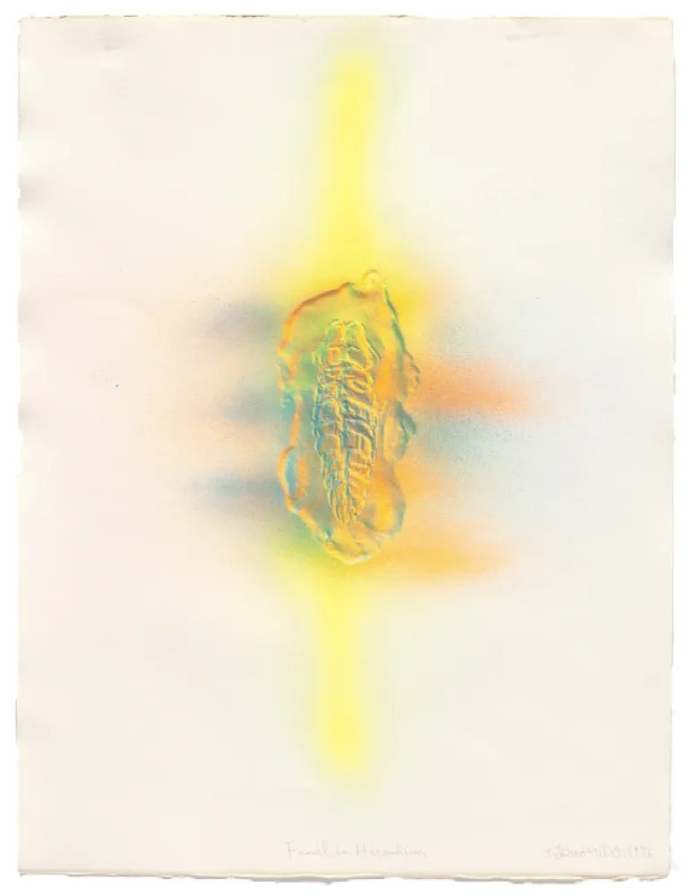 Etching Kudo - Fossil in Hiroshima