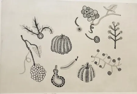 Etching Kusama - Field
