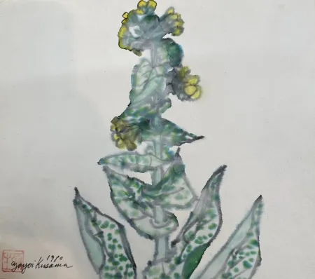 No Technical Kusama - Rape blossoms