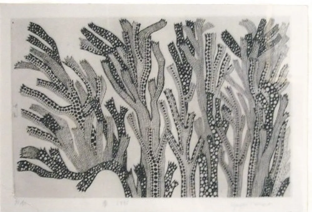 Etching Kusama - Spring # 209