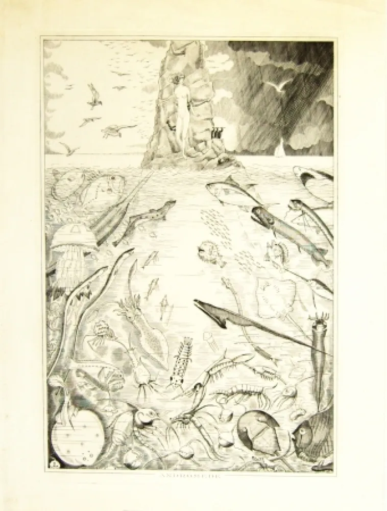 Etching Laboureur - Andomède