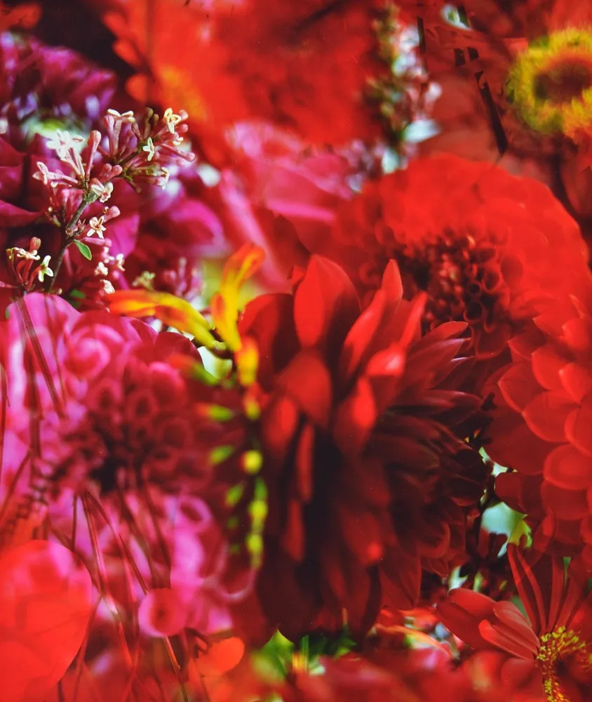 Photography Lafontaine - Paradise Lost I